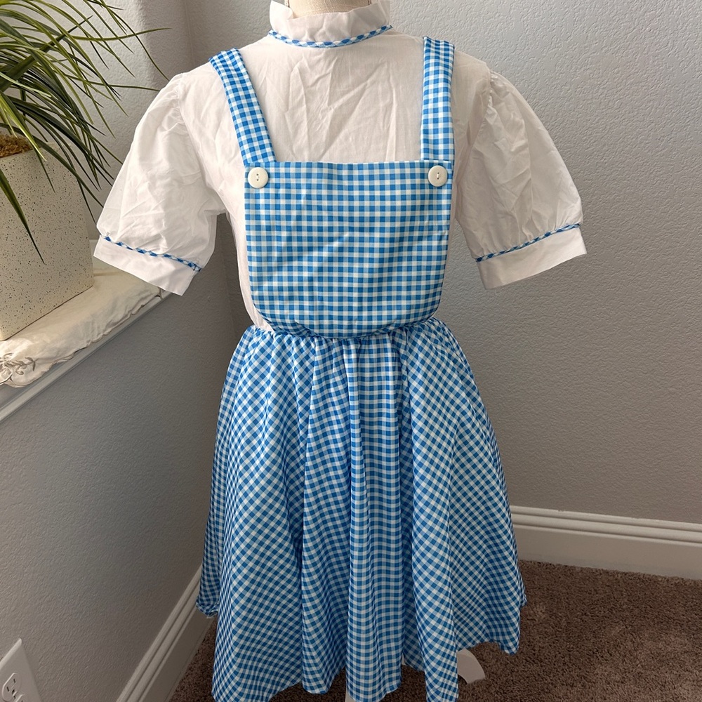Dorothy Wizard of Oz Costume
